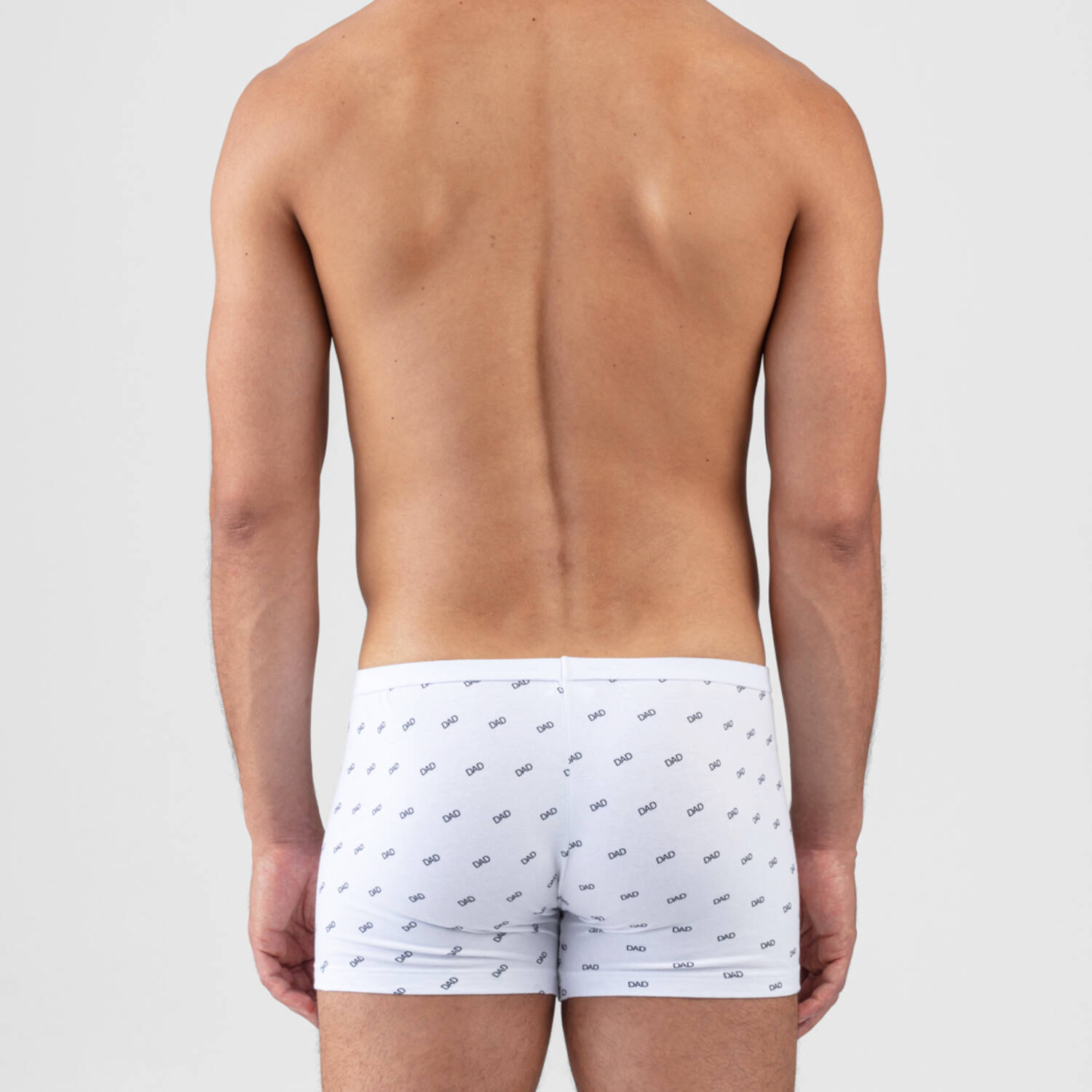 Cotton men's boxer brief Ron Dorff Underwear