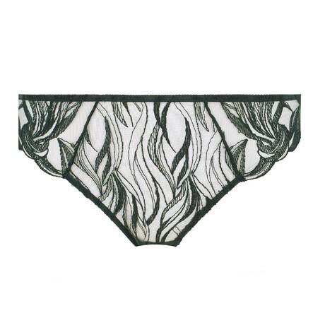 AUBADE Brazilian brief Into the Groove Forest