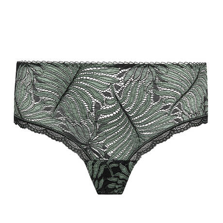 ANTIGEL Lace Hipster Jungle du Soir Vert Minuit