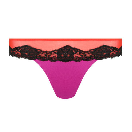 SARDA Brief Bremer Hot Lava