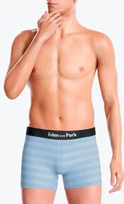 Eden Park  Stripes