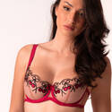 Agent Provocateur