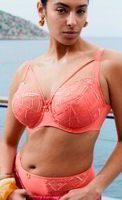 Chantelle Graphic Support