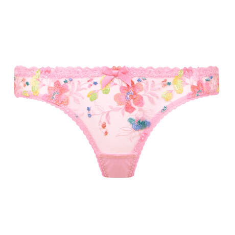AGENT PROVOCATEUR Brief Rixie Multi