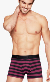 Eden Park  Stripes