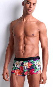 Aubade Trunks