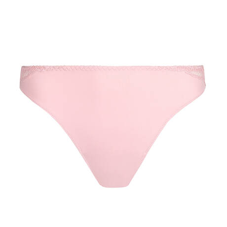 PRIMADONNA String Salerno Spring Rose