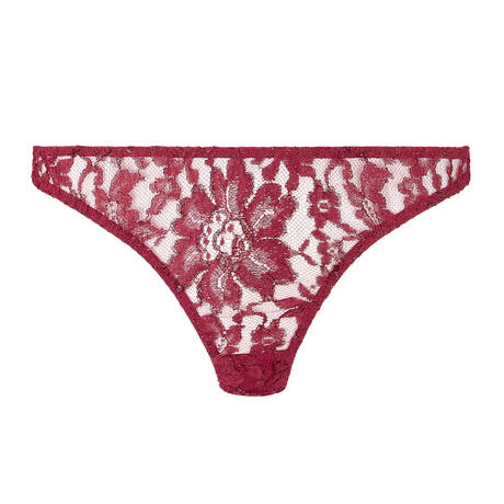 COCO DE MER Lace Brazilian brief Naraya Burgundy