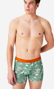 Arthur Boxer Mac