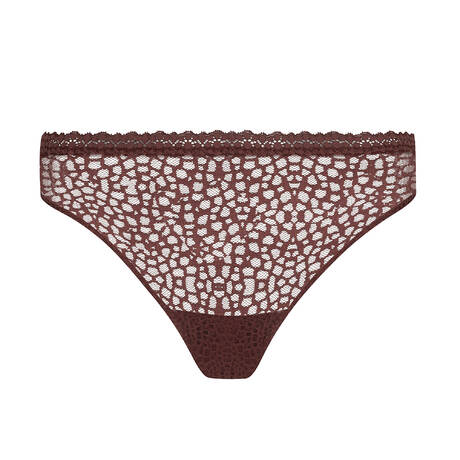 ANTIGEL Slip Charme aus Spitze Exquise en Dentelle Cappuccino