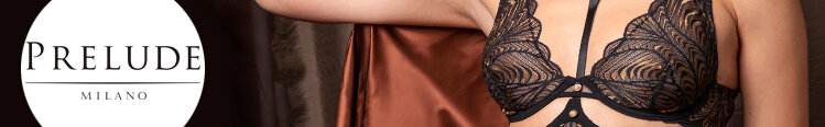 Lingerie Prelude Seduction