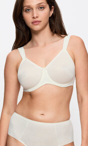 Triumph Essential Minimizer