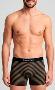 Eden Park  Stripes