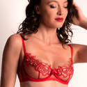 Agent Provocateur