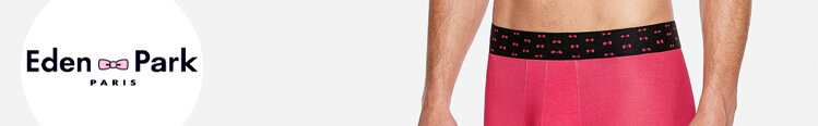 Men's Collection Eden Park  Print