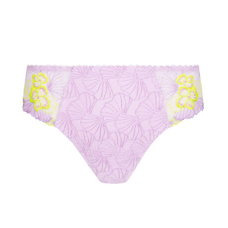 PRIMADONNA Brief Ixia Wisteria