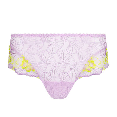 PRIMADONNA Hipster Ixia Wisteria