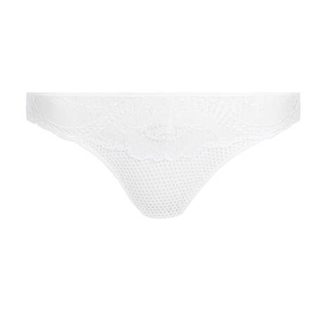SARDA Brief Lisa White