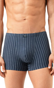 Mey Denim Stripes