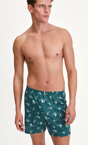 Calida Prints