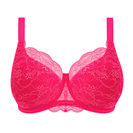 ELOMI Lace Padded bra Darcie Azalea