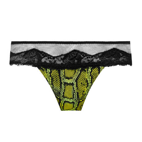 SARDA Brief Bremer Python