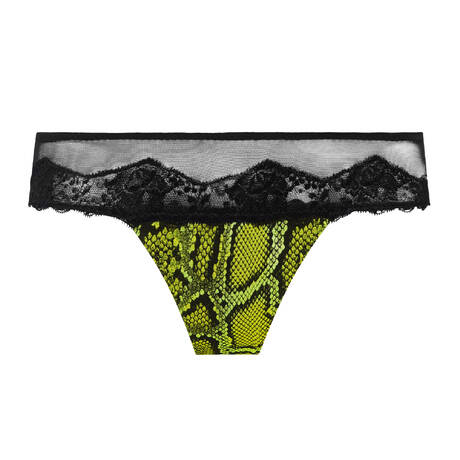 SARDA Tanga Bremer Python