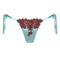 Briefs