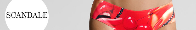 Lingerie Scandale Comic Strip
