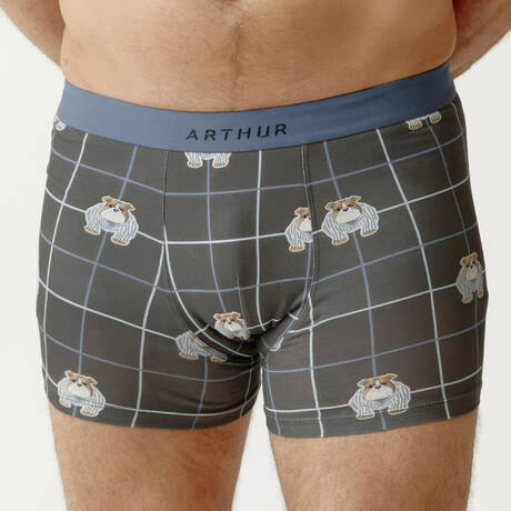 ARTHUR Cotton Men's boxer brief Ma meilleure vie Gris Bouledogue