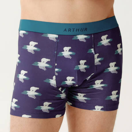 ARTHUR Cotton Men's boxer brief Pole position Marine Banquise
