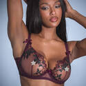 Agent Provocateur
