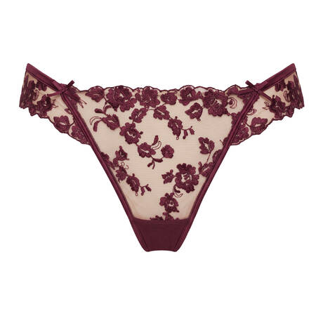 SHIKKOSA Tanga Malizia Plum