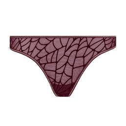 marlies dekkers string the adventuress