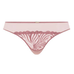 CHANTELLE tanga Legend