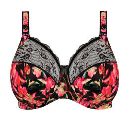 ELOMI soutien-gorge emboitant Morgan
