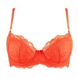 SAINTED SISTERS soutien-gorge coques en dentelle Isabella