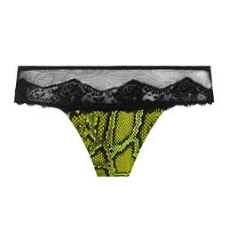 SARDA tanga Bremer