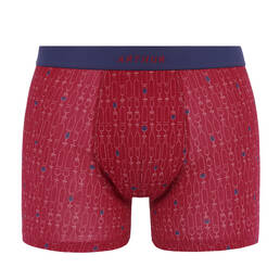 ARTHUR boxer homme en coton Millésimé