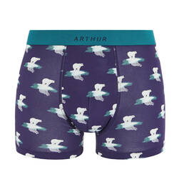 ARTHUR boxer homme en coton Pole position ARTHUR boxer homme en coton Pole position