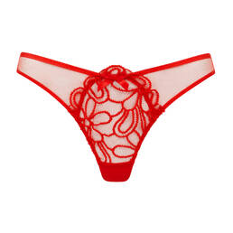 AGENT PROVOCATEUR string Nelle