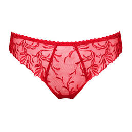 PRIMADONNA string Solisse